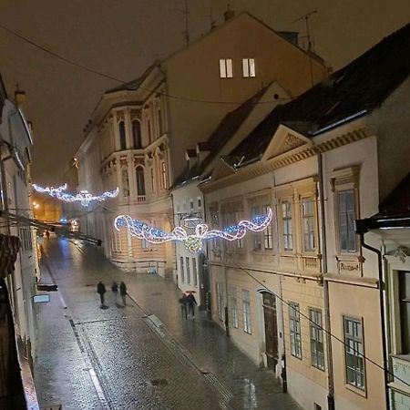 Apartman Ena Radiceva 萨格勒布 外观 照片