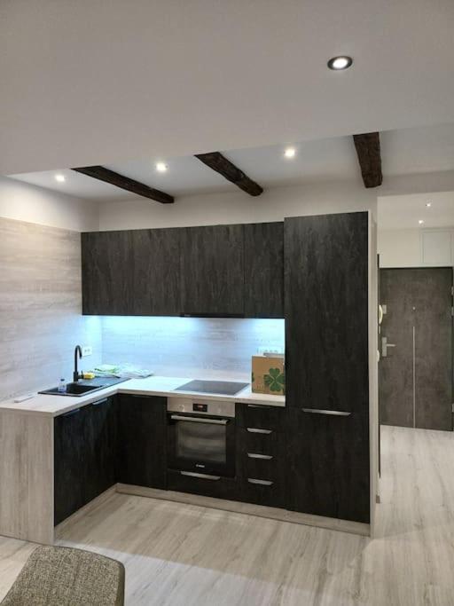 Apartman Ena Radiceva 萨格勒布 外观 照片