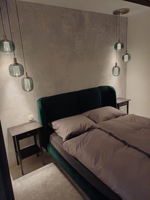 Apartman Ena Radiceva 萨格勒布 外观 照片