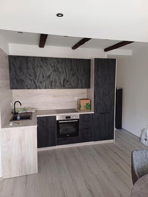 Apartman Ena Radiceva 萨格勒布 外观 照片